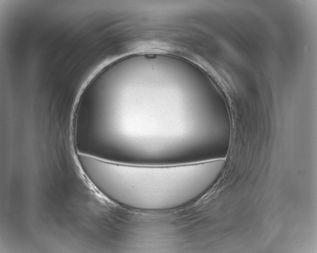 X0000071761488200606300903