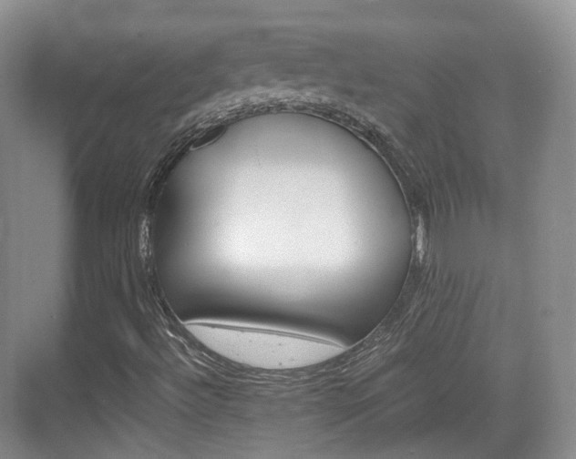 X0000071761492200606300902