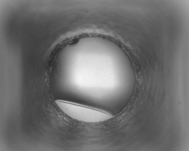 X0000071761495200606300902