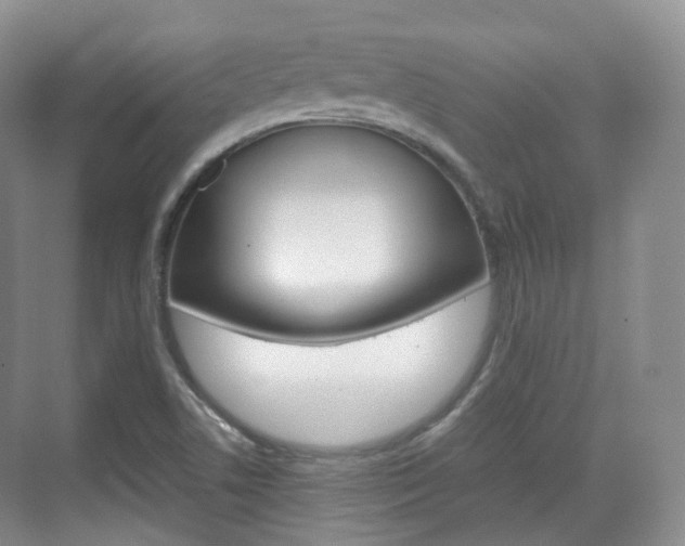 X0000071761506200606300902