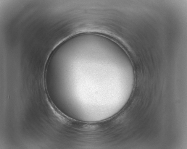 X0000071761513200606300902