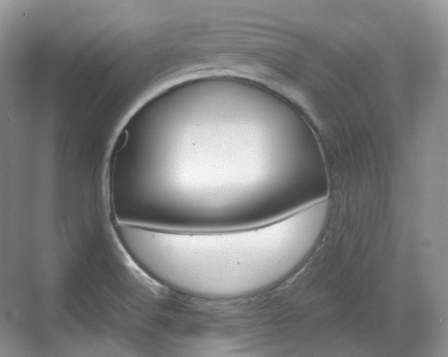 X0000071761516200606300902