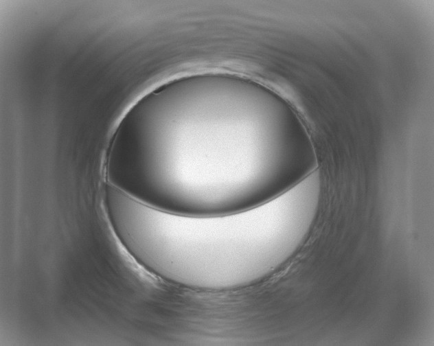 X0000071761524200606300903