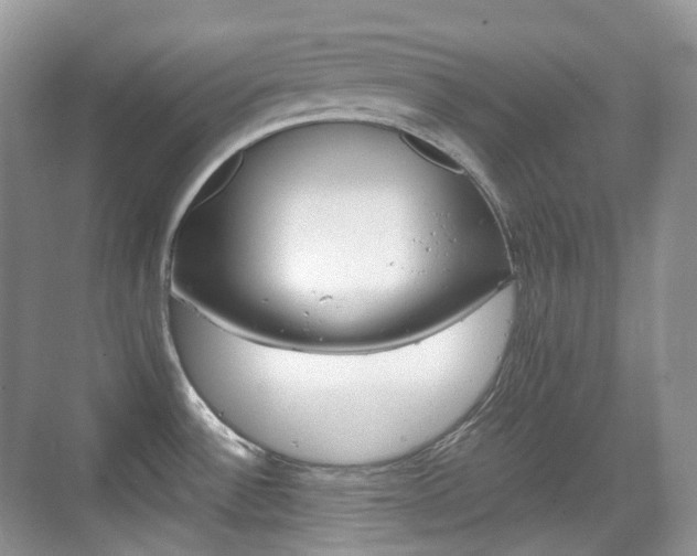 X0000071761532200606300903