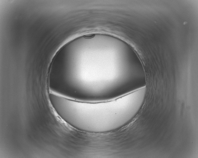 X0000071761534200606300903