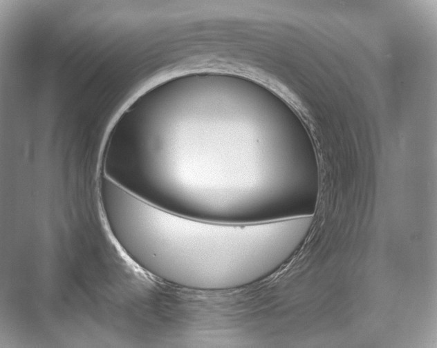 X0000071761536200606300903