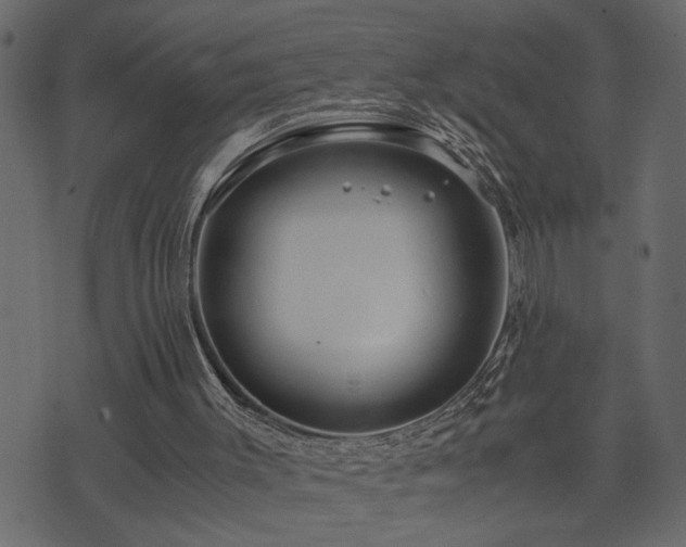 X0000071760003200606301142