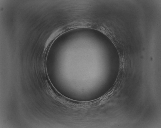 X0000071760004200606301142