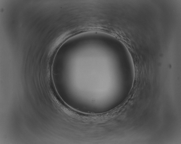 X0000071760005200606301142