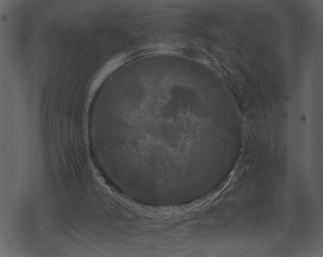 X0000071760006200606301142