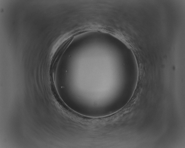 X0000071760007200606301142