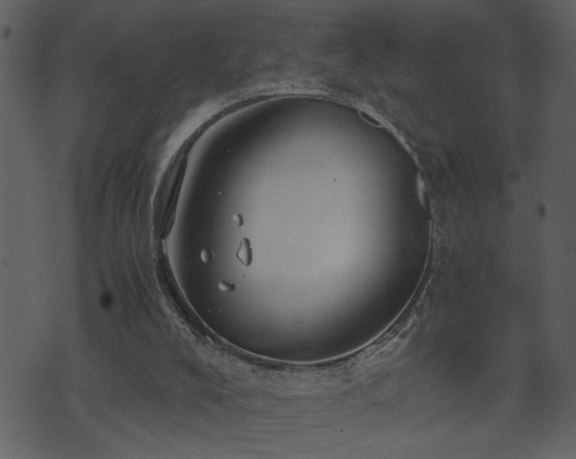 X0000071760008200606301142