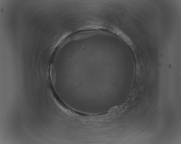 X0000071760009200606301142