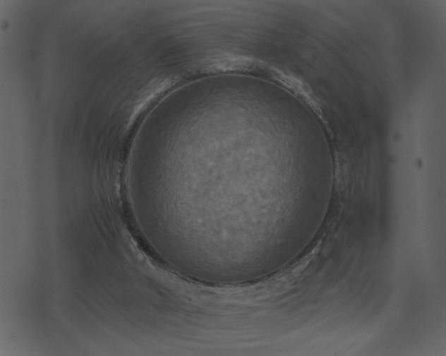 X0000071760010200606301142