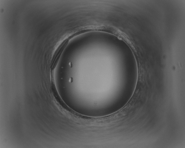 X0000071760011200606301142