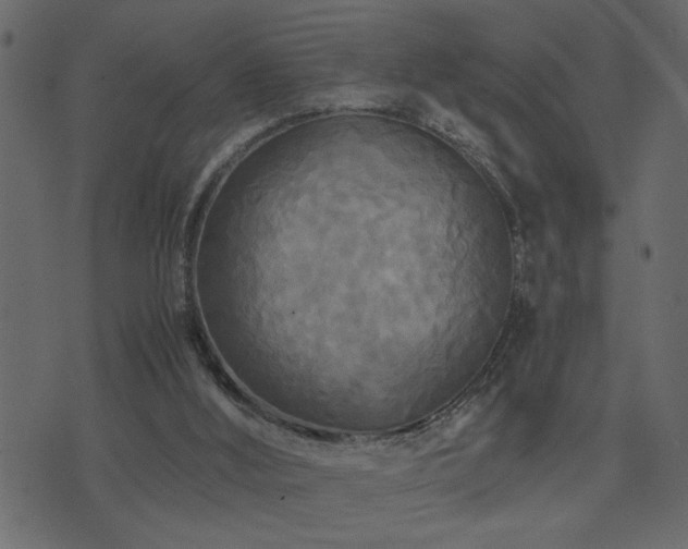 X0000071760012200606301142