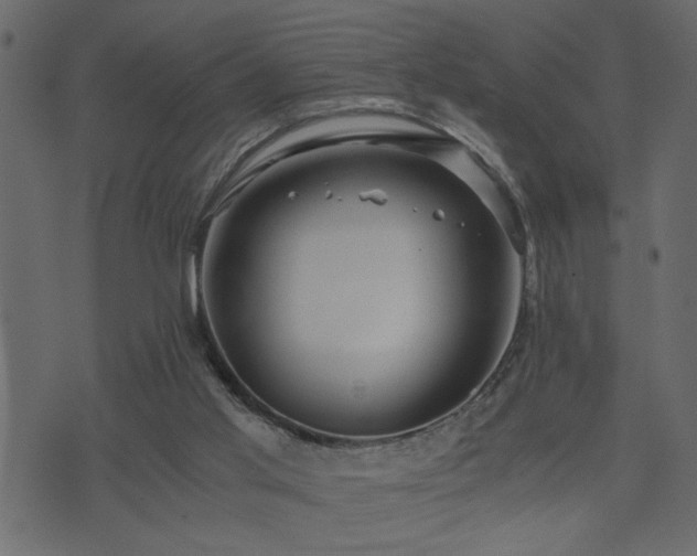 X0000071760013200606301142