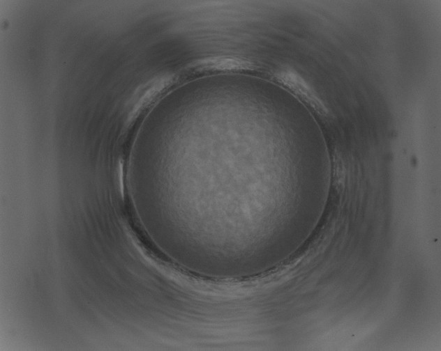 X0000071760014200606301142