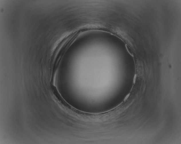 X0000071760015200606301142