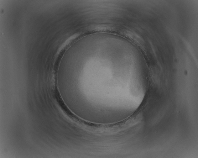 X0000071760016200606301142