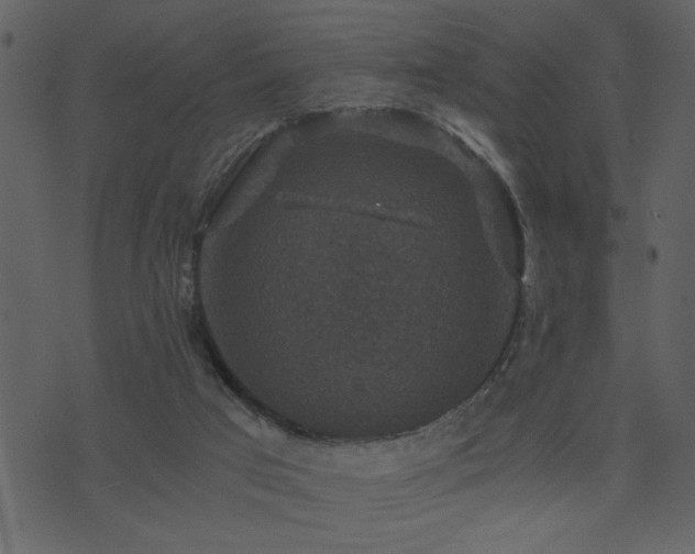 X0000071760017200606301142