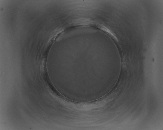 X0000071760018200606301142