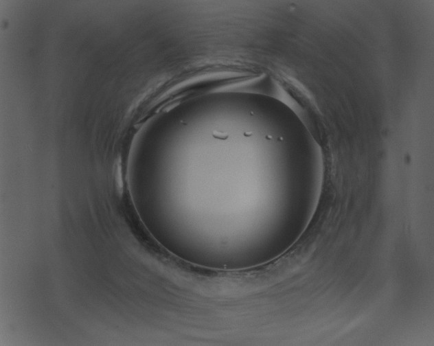 X0000071760020200606301142