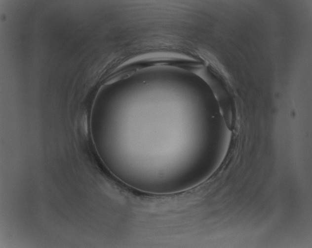 X0000071760021200606301141