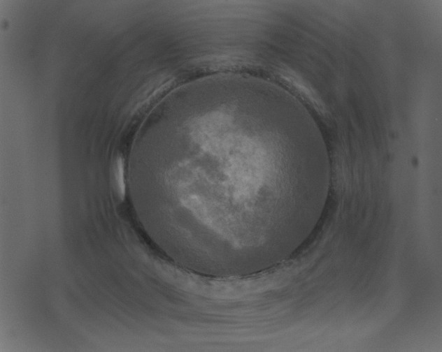 X0000071760022200606301141