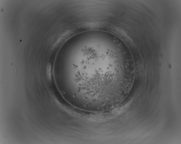 X0000071760024200606301141