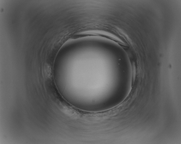 X0000071760025200606301141