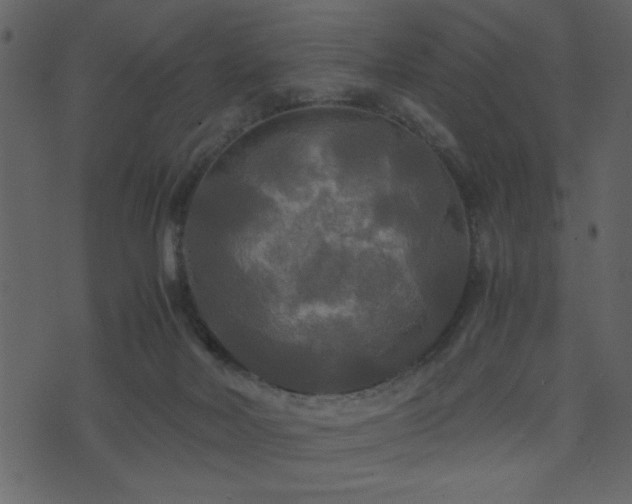 X0000071760026200606301141