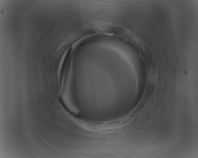 X0000071760027200606301141