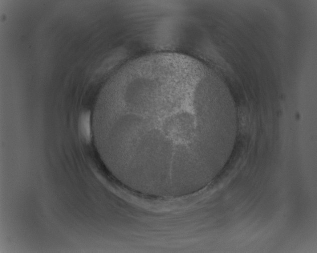 X0000071760028200606301141