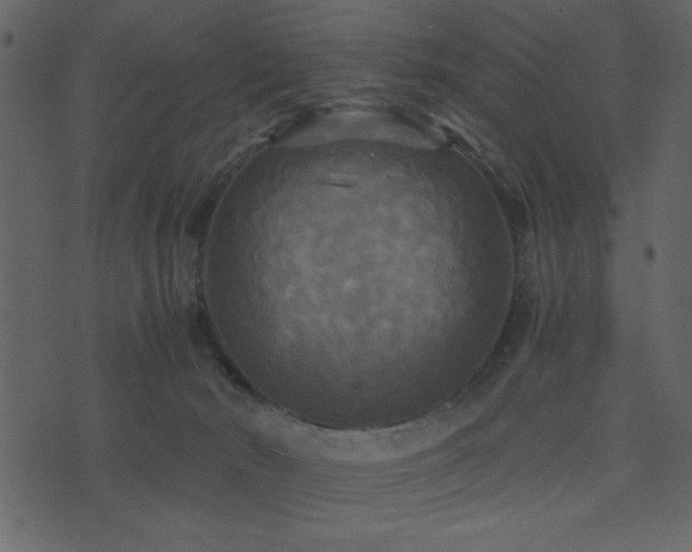 X0000071760030200606301141