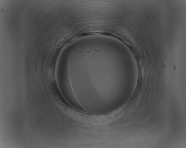 X0000071760031200606301141