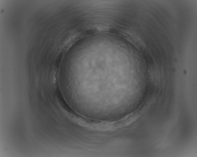 X0000071760032200606301141