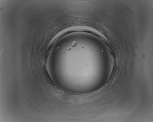 X0000071760033200606301141