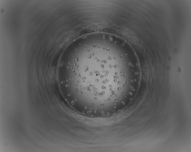 X0000071760034200606301141