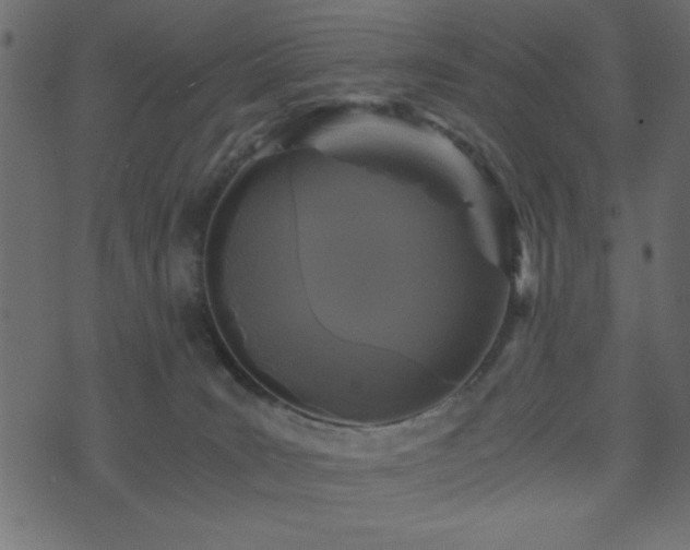 X0000071760035200606301141