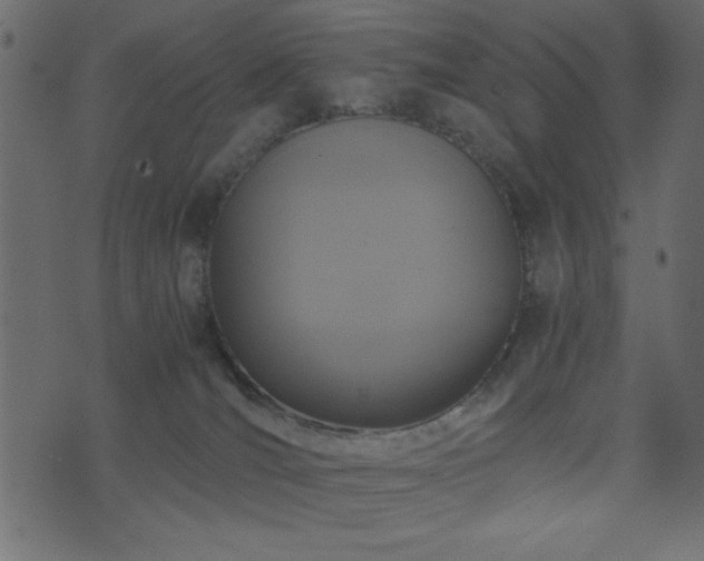 X0000071760036200606301141