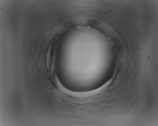 X0000071760037200606301141