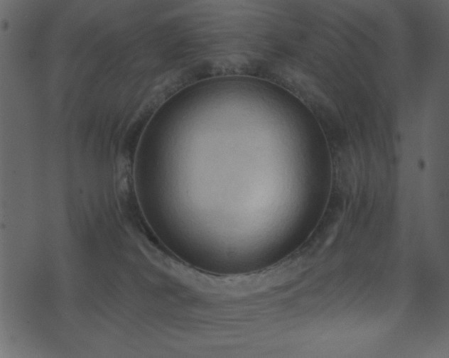 X0000071760038200606301141