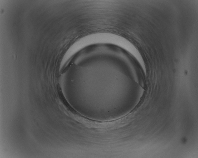 X0000071760039200606301141