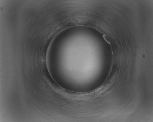 X0000071760040200606301141