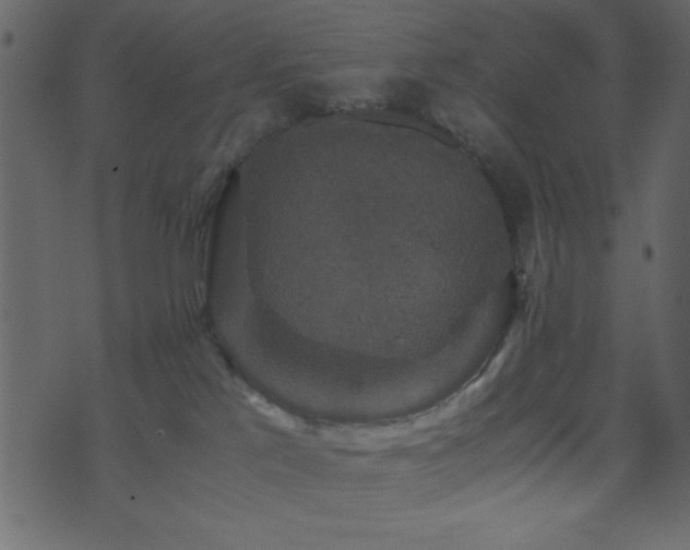 X0000071760041200606301141