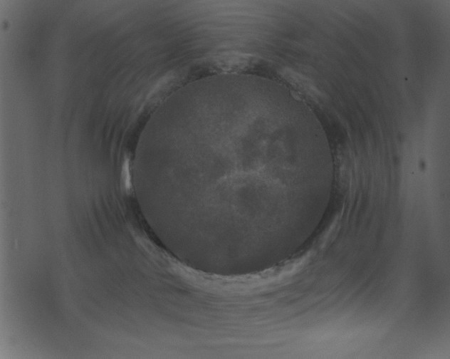 X0000071760042200606301141