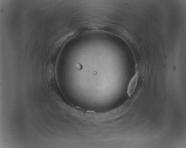 X0000071760043200606301141