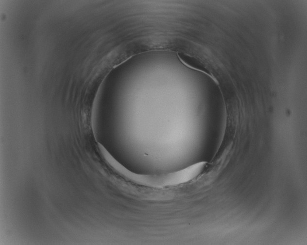 X0000071760044200606301141