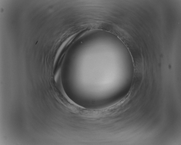 X0000071760045200606301141